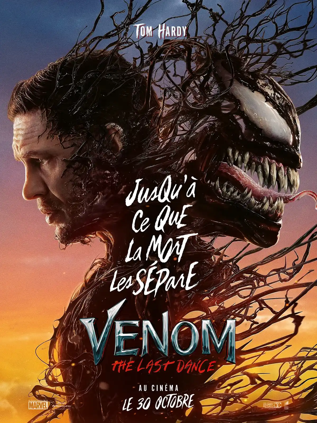 póster de película
